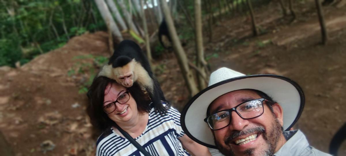 Mono aullador en la vegetación del Pacífico de Costa Rica
