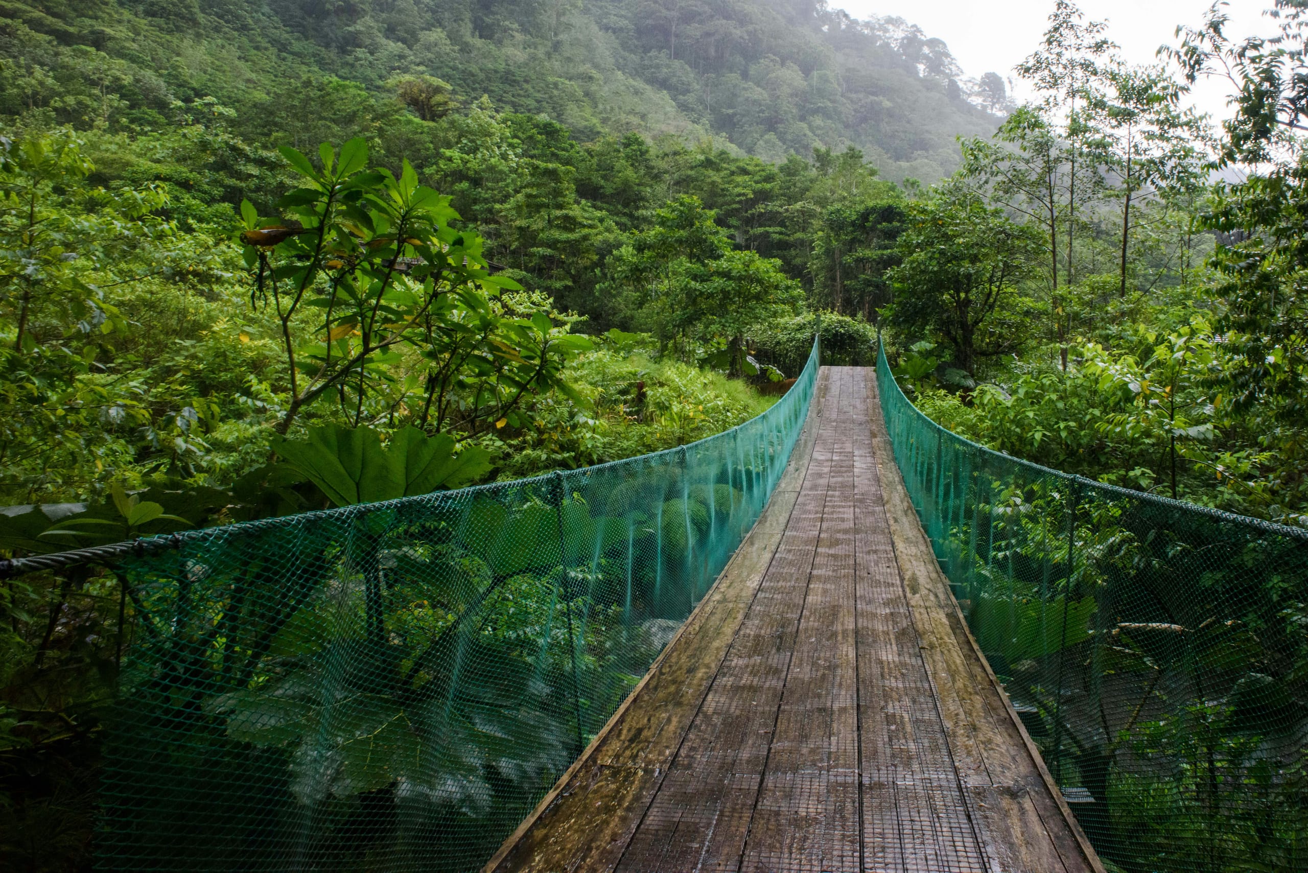 Cascadas, rappel y puentes colgantes en selva tropical — foto 6