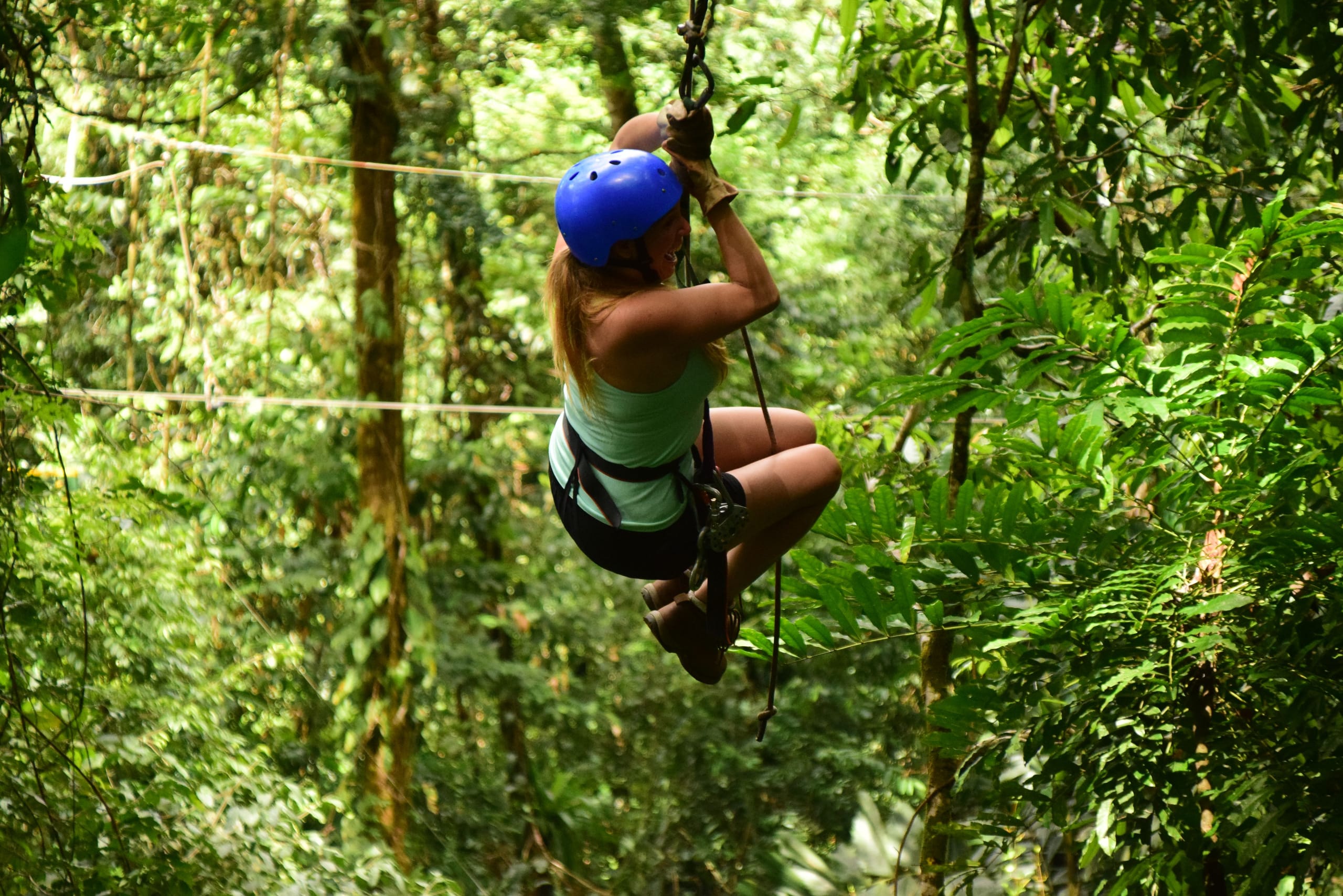 Foto de portada: Tirolina, ATV y safari de cocodrilos en un día