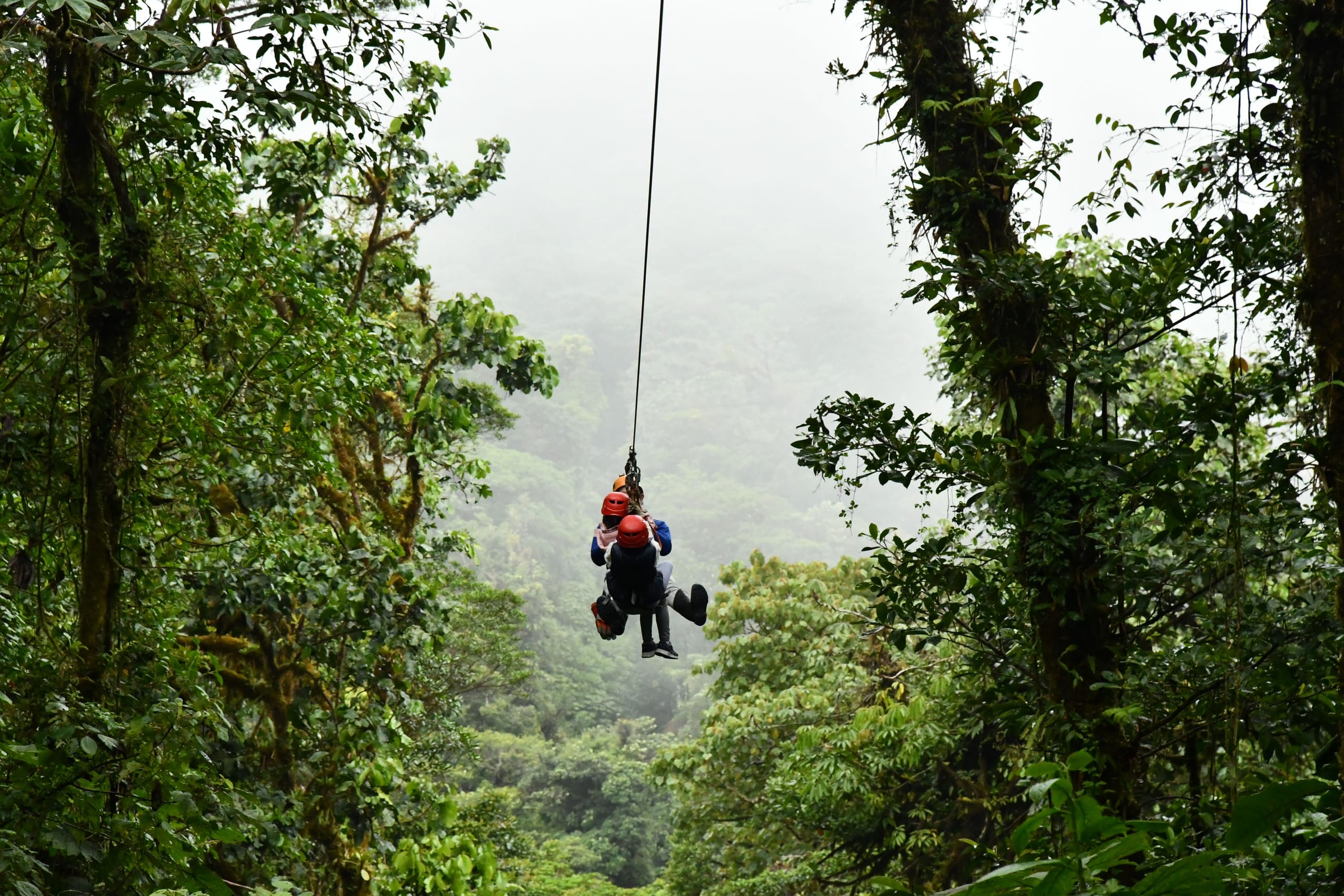 Tirolina canopy y puentes colgantes en el Pacífico — foto 1