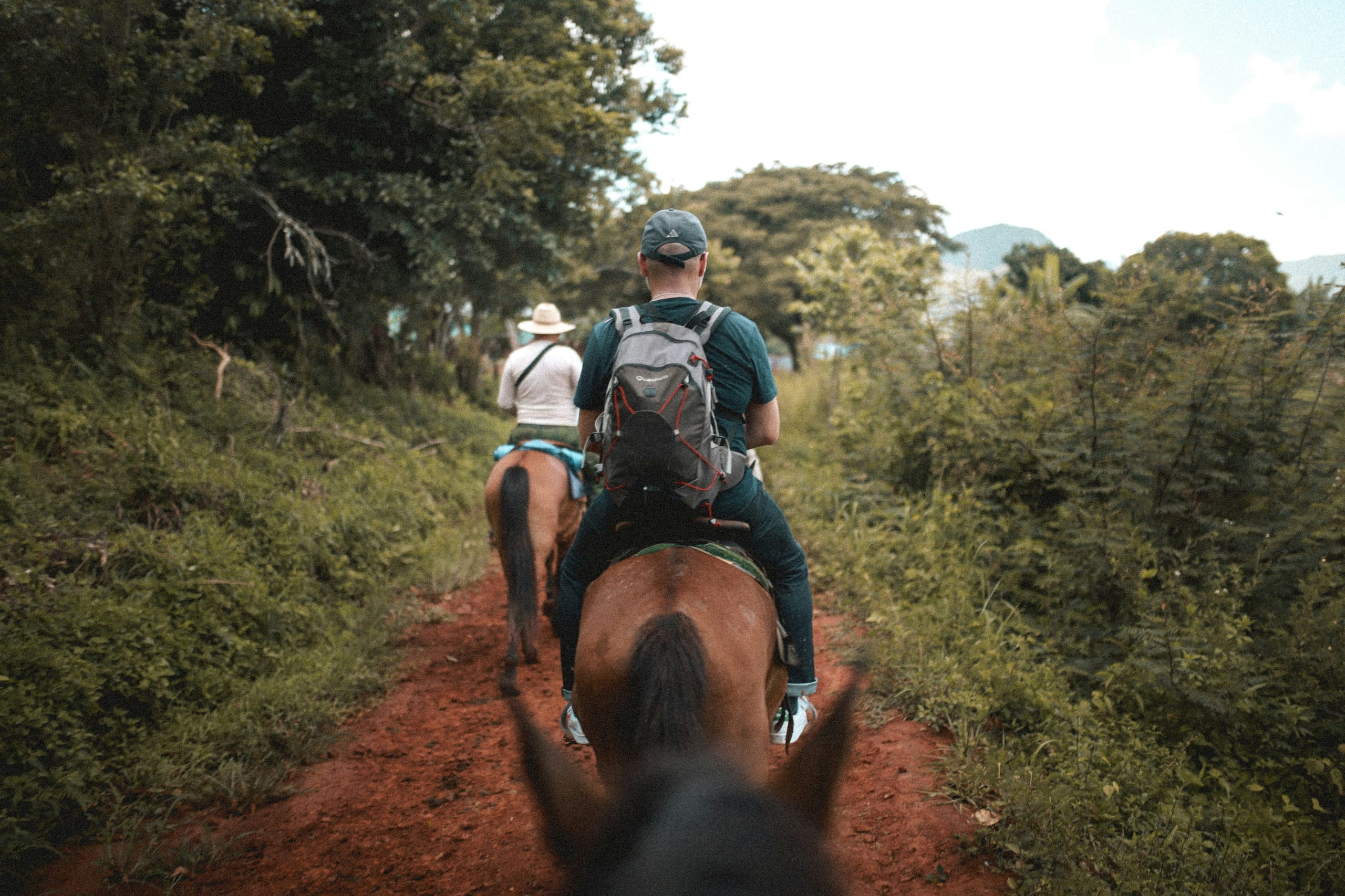 Foto de portada: Combo de tirolina y cabalgata en el Pacífico